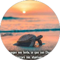 Profile photo of Kevin Moreno