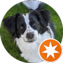 Profile photo of Greg Costanzo