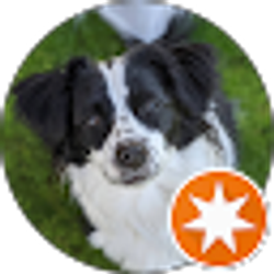 Profile photo of Greg Costanzo