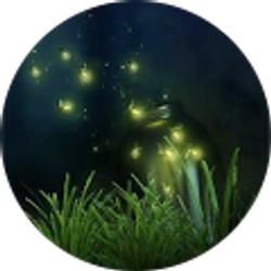 Profile photo of Desiree Koskie