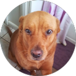 Profile photo of Robyn Oku