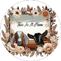 Profile photo of Reanna Friesen