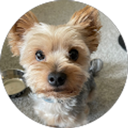 Profile photo of Emily Herndon