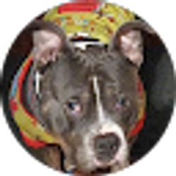 Profile photo of Nodnarb “BHenny” Yrneh