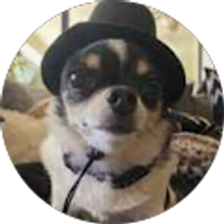 Profile photo of Gabriel