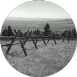 Profile photo of Sean Gummer