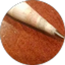 Profile photo of Evan Smith
