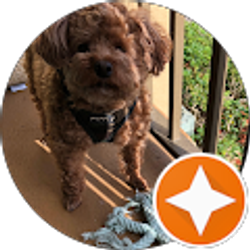 Profile photo of Lauren Polo