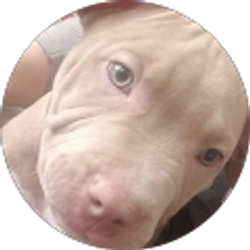 Profile photo of Lisa Hall