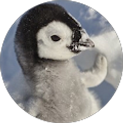 Profile photo of Rachel Pinkhasov