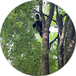 Profile photo of beanzthegreat