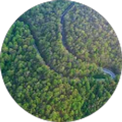 Profile photo of stevenak115