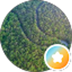 Profile photo of stevenak115