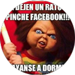Profile photo of yankiel duena