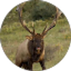Profile photo of Doug Reimer
