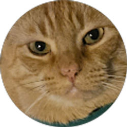 Profile photo of Michael Corleone