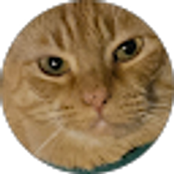 Profile photo of Michael Corleone