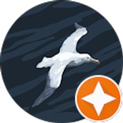 Profile photo of Alkesh Pandya