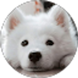 Profile photo of sydney