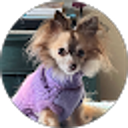 Profile photo of Janet Fleege