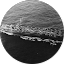 Profile photo of Fanshaw Bay