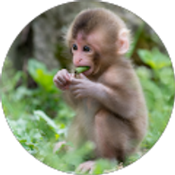 Profile photo of Masseyni Thiam