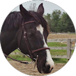 Profile photo of Gra Fran