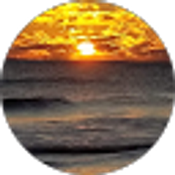 Profile photo of j g