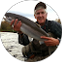 Profile photo of Steve Caporizzo