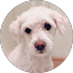 Profile photo of Cynthia, Silvia y Itzel