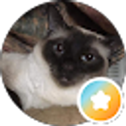 Profile photo of Kay J