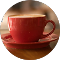 Profile photo of Dawn Houston