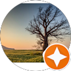 Profile photo of Christie Rosales