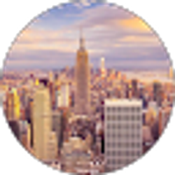 Profile photo of Ayrton Ross