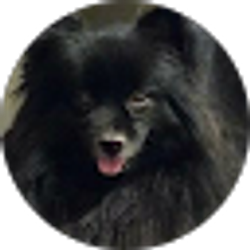 Profile photo of Courtney G