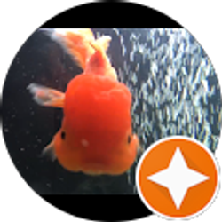 Profile photo of Richard Peacock