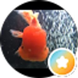 Profile photo of Richard Peacock