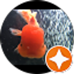 Profile photo of Richard Peacock