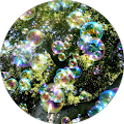 Profile photo of Paris H