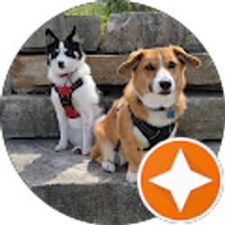 Profile photo of Nadir Matus