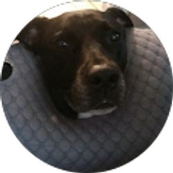 Profile photo of Riley White
