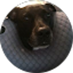 Profile photo of Riley White