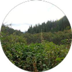 Profile photo of Sabrina Sater