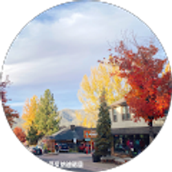 Profile photo of Chen Xiaoqi