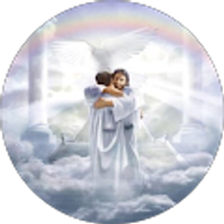 Profile photo of Bingo