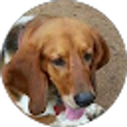 Profile photo of Karen Posey