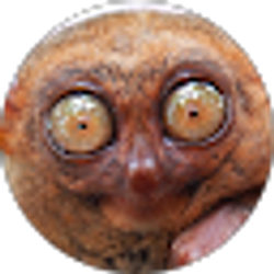 Profile photo of Kevin Miller