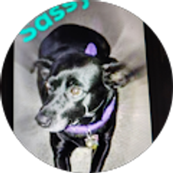 Profile photo of Sue