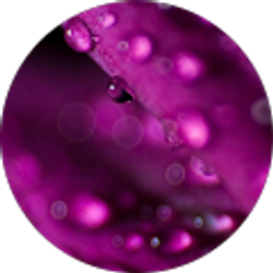 Profile photo of K H