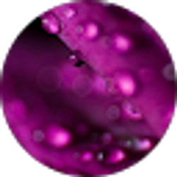 Profile photo of K H